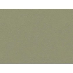 Linoleum Klik Plus - Rosemary Green