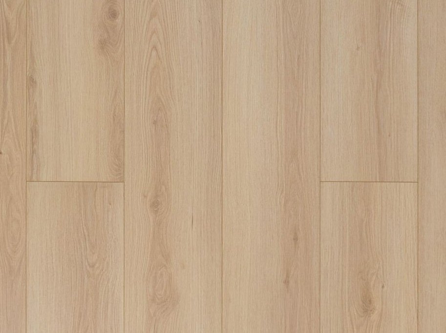 Novego ECO+ - Evergreen