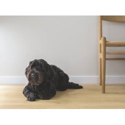 Pergo Laminatplank - Lillehammer - Pure Oak