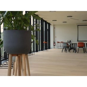 Plankegulv - B-Hard Brstet Eg Style Saphir med hvid olie - Bredde 223 mm