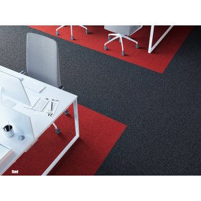 First 24 tppefliser - Rd