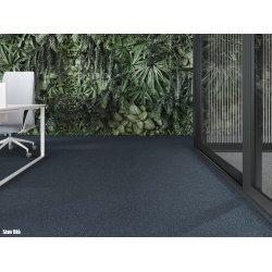 First 24 tppefliser - Stv Bl