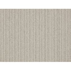 First 26 tppefliser - Beige