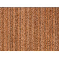 First 26 tppefliser - Orange