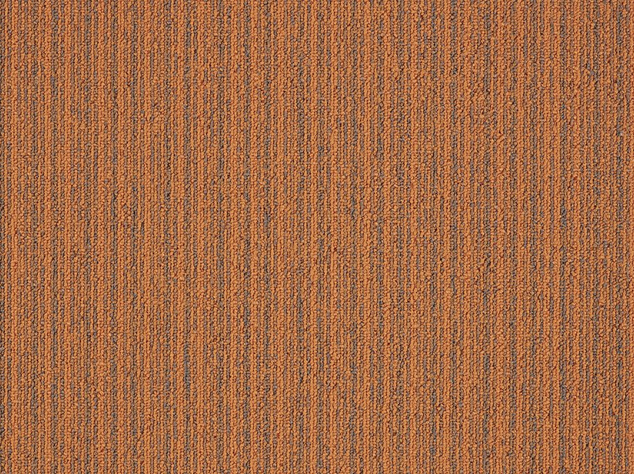 First 26 tppefliser - Orange