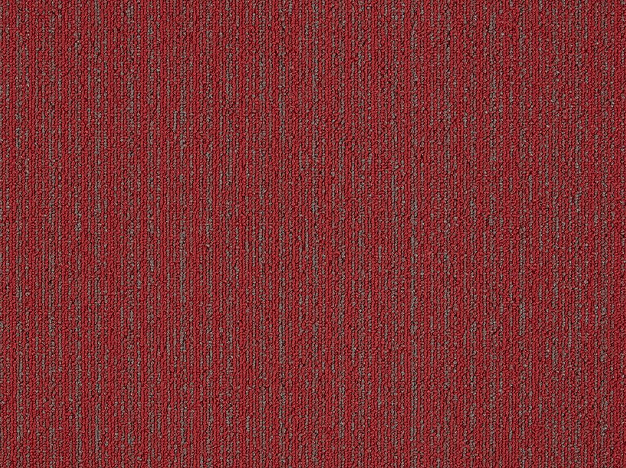 First 26 tppefliser - Rd