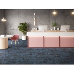 First 28 tppefliser - Bl