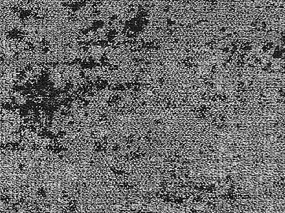 Ege Reform Construction Concrete Tppefliser - Smoke Grey